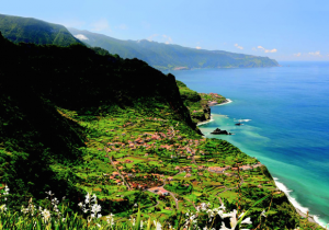 madeira