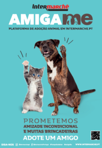 cartaz Amigame