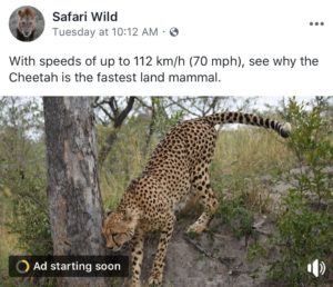 Ad Breaks