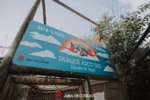 zoo3