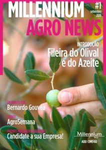 Millennium Agro News_setembro_001