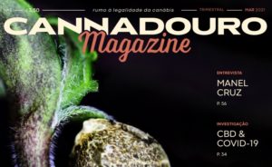 cannabis